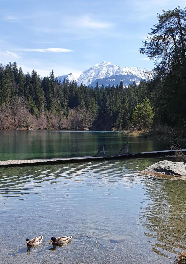 Ferienwohnung Stenna Selva An Toplage Flims Exterior foto